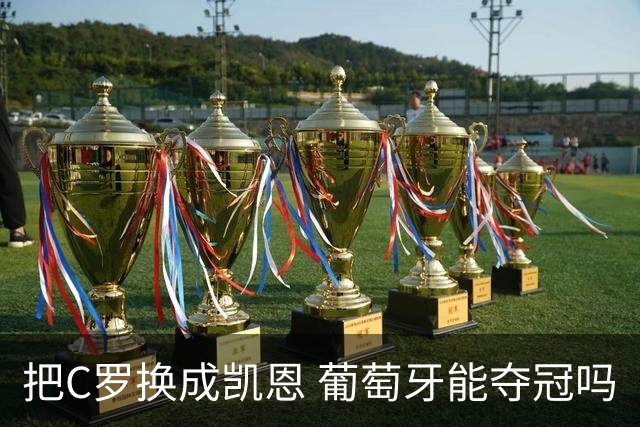 把C罗换成凯恩 葡萄牙能夺冠吗
