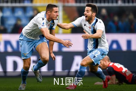 N1国际简介