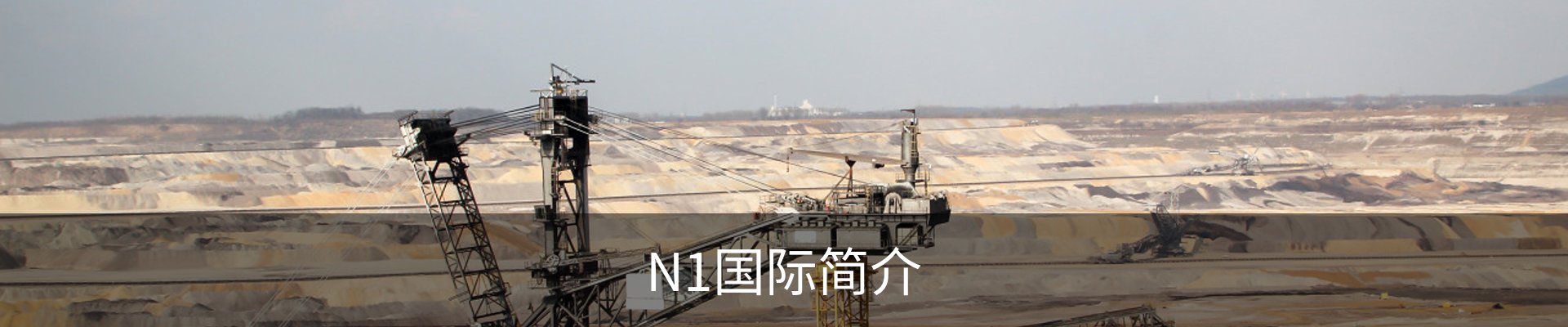 N1国际简介